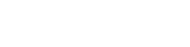 MICROINTEGRALE GROUPE